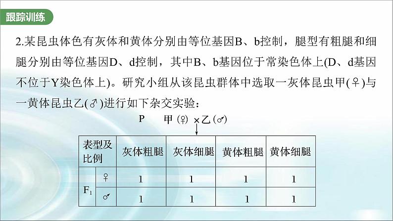 苏教版2024届高考生物一轮复习微专题五基因在染色体上的位置判断课件06