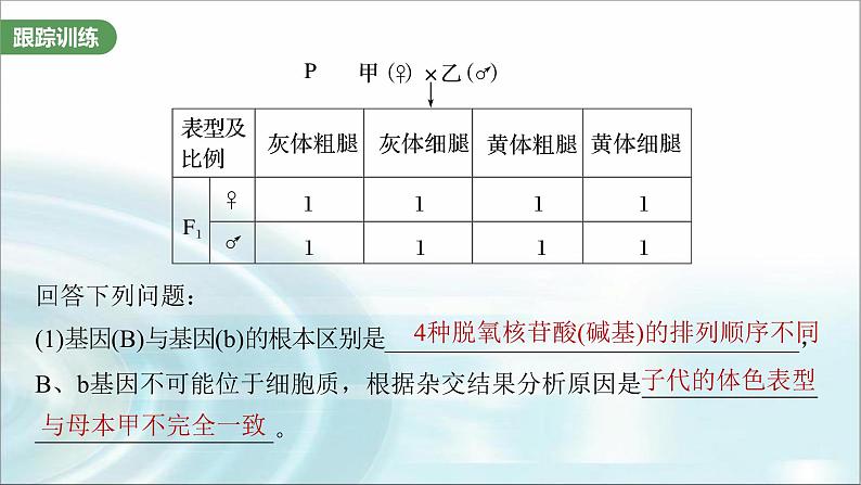 苏教版2024届高考生物一轮复习微专题五基因在染色体上的位置判断课件07