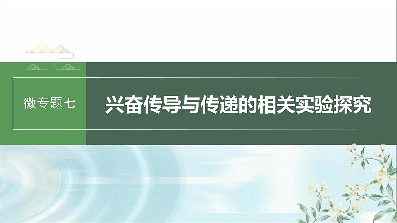 苏教版2024届高考生物一轮复习微专题七兴奋传导与传递的相关实验探究课件01