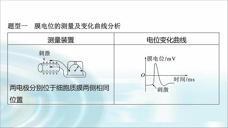 苏教版2024届高考生物一轮复习微专题七兴奋传导与传递的相关实验探究课件02