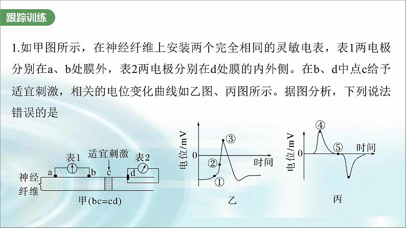 苏教版2024届高考生物一轮复习微专题七兴奋传导与传递的相关实验探究课件05