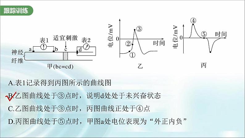 苏教版2024届高考生物一轮复习微专题七兴奋传导与传递的相关实验探究课件06