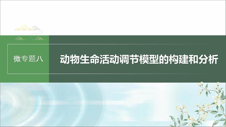 苏教版2024届高考生物一轮复习微专题八动物生命活动调节模型的构建和分析课件01