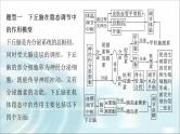 苏教版2024届高考生物一轮复习微专题八动物生命活动调节模型的构建和分析课件