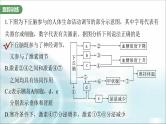 苏教版2024届高考生物一轮复习微专题八动物生命活动调节模型的构建和分析课件