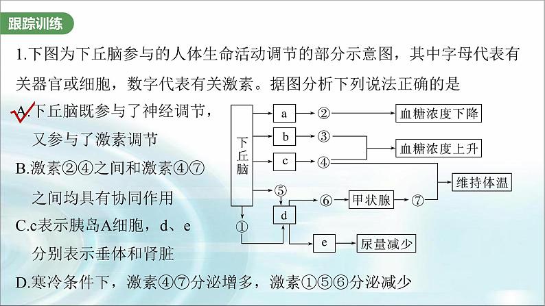 苏教版2024届高考生物一轮复习微专题八动物生命活动调节模型的构建和分析课件04