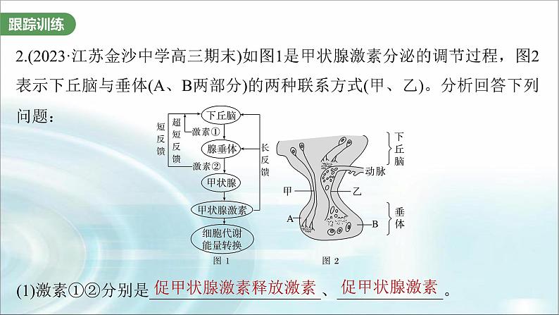 苏教版2024届高考生物一轮复习微专题八动物生命活动调节模型的构建和分析课件07