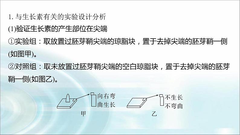 苏教版2024届高考生物一轮复习微专题九植物激素调节的相关实验探究课件02