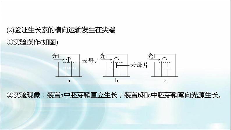 苏教版2024届高考生物一轮复习微专题九植物激素调节的相关实验探究课件03