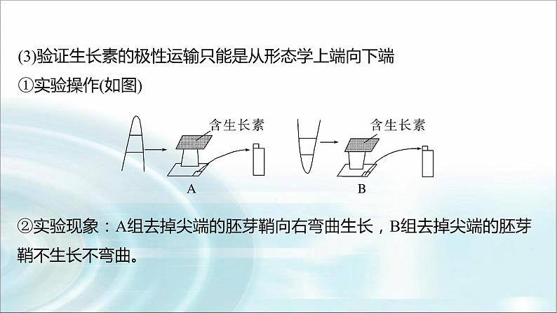 苏教版2024届高考生物一轮复习微专题九植物激素调节的相关实验探究课件04