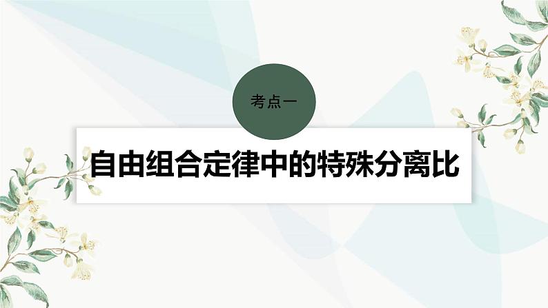 苏教版2024届高考生物一轮复习自由组合定律中的特殊比例和实验探究课件04