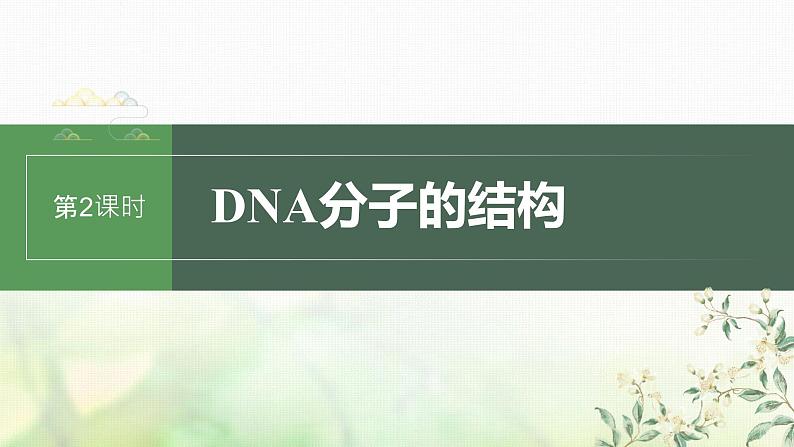 苏教版2024届高考生物一轮复习DNA分子的结构课件第1页