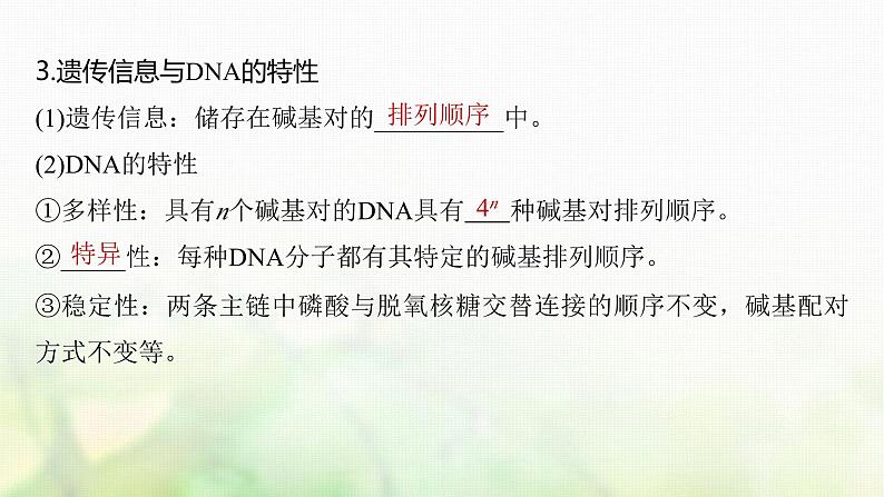 苏教版2024届高考生物一轮复习DNA分子的结构课件第6页