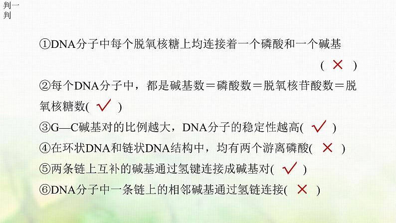 苏教版2024届高考生物一轮复习DNA分子的结构课件第7页