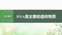 苏教版2024届高考生物一轮复习DNA是主要的遗传物质课件