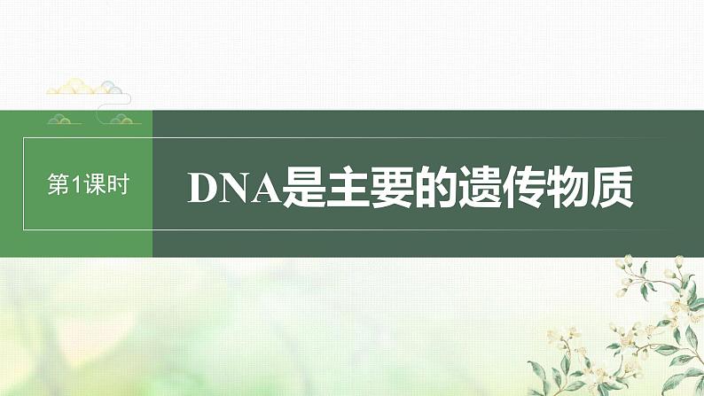 苏教版2024届高考生物一轮复习DNA是主要的遗传物质课件01