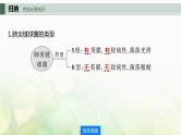 苏教版2024届高考生物一轮复习DNA是主要的遗传物质课件