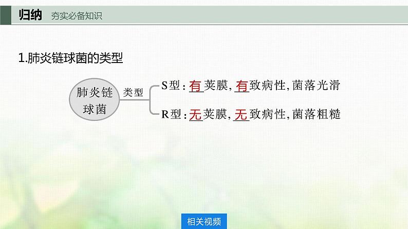 苏教版2024届高考生物一轮复习DNA是主要的遗传物质课件05