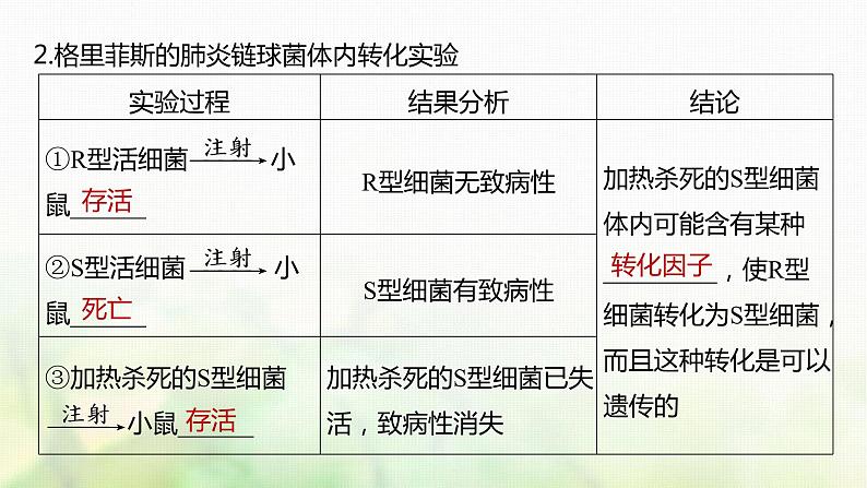 苏教版2024届高考生物一轮复习DNA是主要的遗传物质课件07