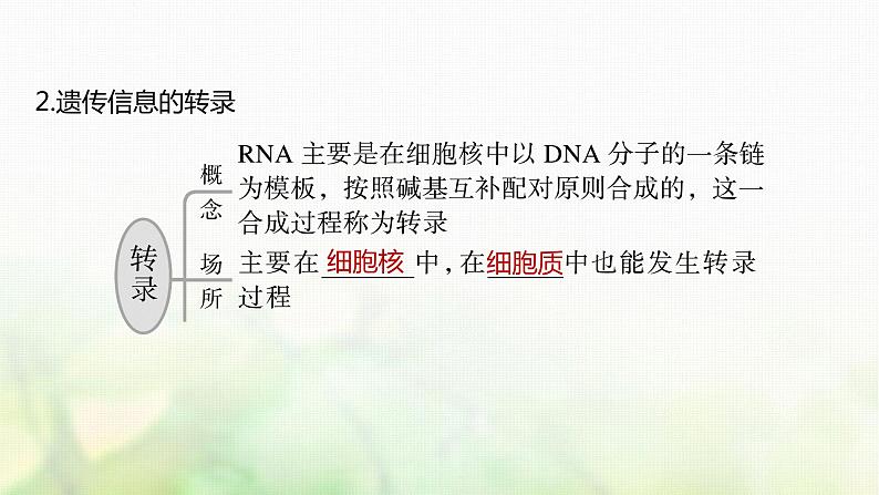 苏教版2024届高考生物一轮复习DNA通过RNA指导蛋白质合成课件05