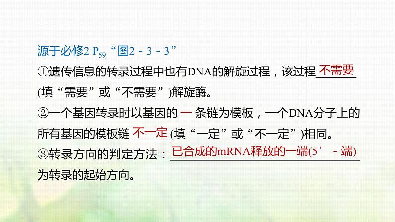 苏教版2024届高考生物一轮复习DNA通过RNA指导蛋白质合成课件07