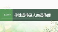 苏教版2024届高考生物一轮复习伴性遗传及人类遗传病课件