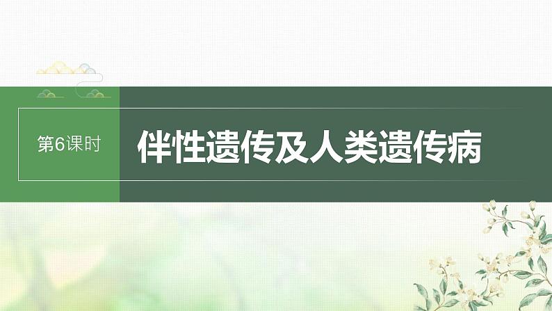 苏教版2024届高考生物一轮复习伴性遗传及人类遗传病课件第1页