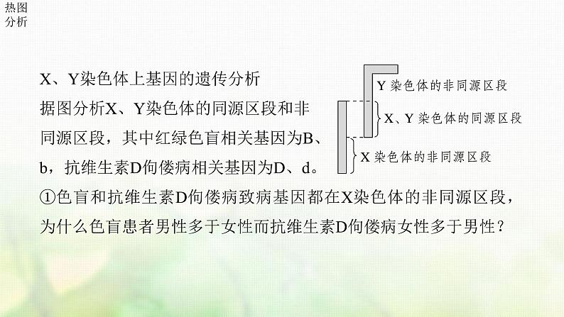 苏教版2024届高考生物一轮复习伴性遗传及人类遗传病课件第8页