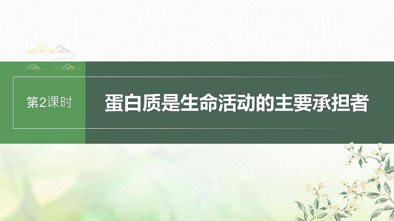 苏教版2024届高考生物一轮复习蛋白质是生命活动的主要承担者课件01