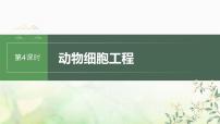 苏教版2024届高考生物一轮复习动物细胞工程课件