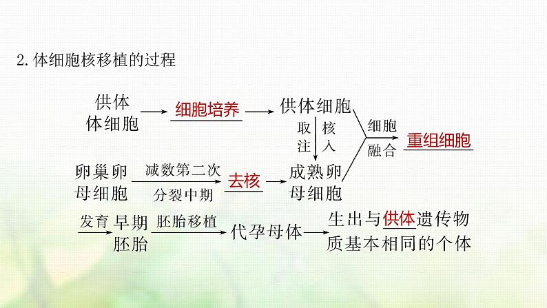 苏教版2024届高考生物一轮复习动物细胞工程课件第7页