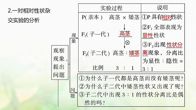 苏教版2024届高考生物一轮复习分离定律课件第6页