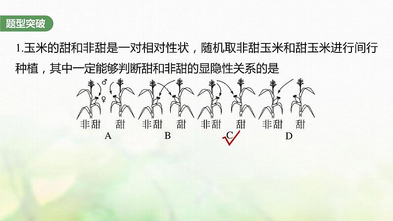 苏教版2024届高考生物一轮复习分离定律重点题型突破课件第7页