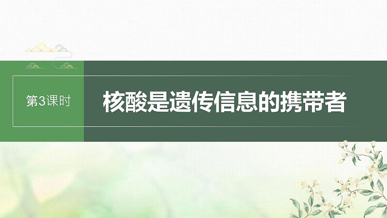 苏教版2024届高考生物一轮复习核酸是遗传信息的携带者课件第1页