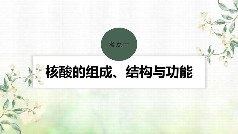 苏教版2024届高考生物一轮复习核酸是遗传信息的携带者课件第4页