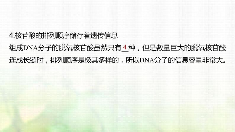 苏教版2024届高考生物一轮复习核酸是遗传信息的携带者课件第8页