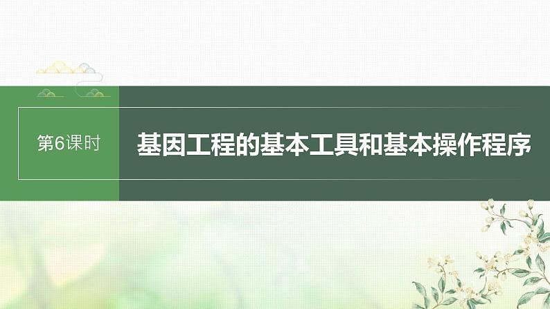 苏教版2024届高考生物一轮复习基因工程的基本工具和基本操作程序课件01