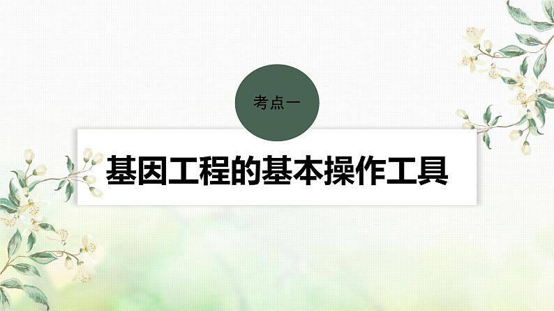 苏教版2024届高考生物一轮复习基因工程的基本工具和基本操作程序课件04