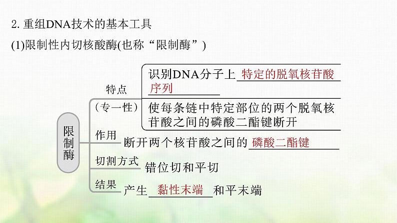 苏教版2024届高考生物一轮复习基因工程的基本工具和基本操作程序课件07