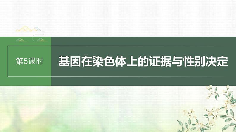 苏教版2024届高考生物一轮复习基因在染色体上的证据与性别决定课件第1页