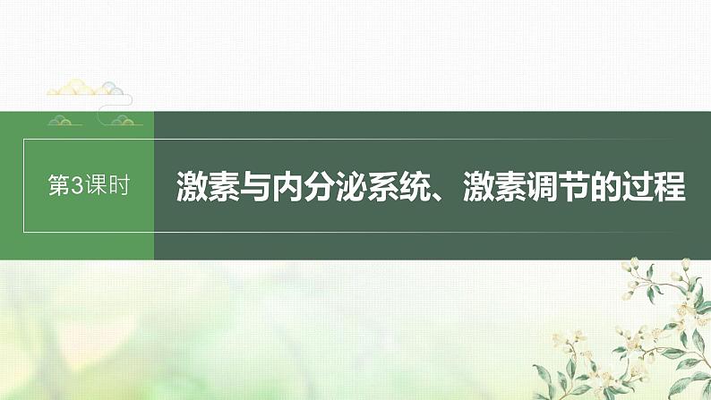 苏教版2024届高考生物一轮复习激素与内分泌系统、激素调节的过程课件01