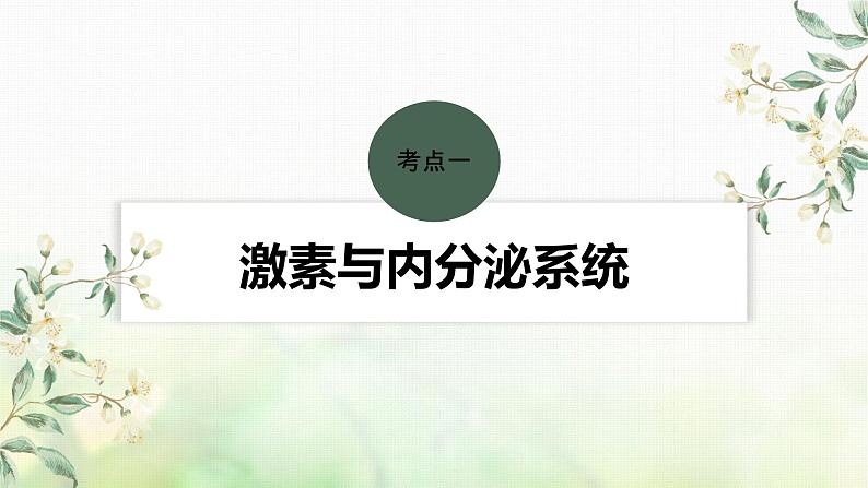 苏教版2024届高考生物一轮复习激素与内分泌系统、激素调节的过程课件04