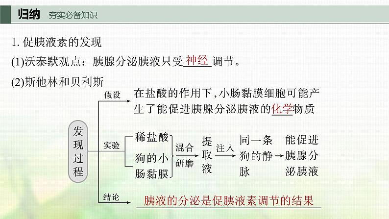 苏教版2024届高考生物一轮复习激素与内分泌系统、激素调节的过程课件05