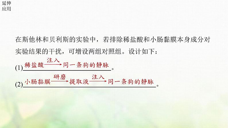 苏教版2024届高考生物一轮复习激素与内分泌系统、激素调节的过程课件06