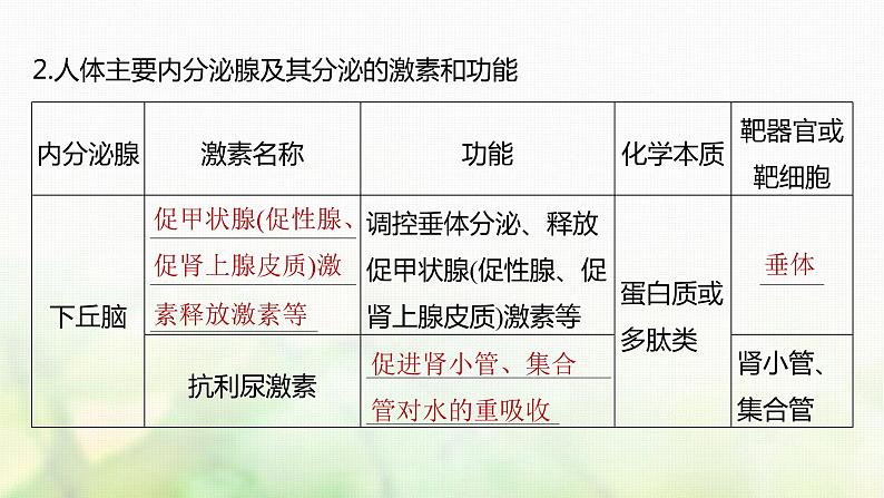 苏教版2024届高考生物一轮复习激素与内分泌系统、激素调节的过程课件07