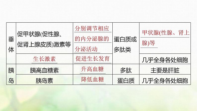 苏教版2024届高考生物一轮复习激素与内分泌系统、激素调节的过程课件08