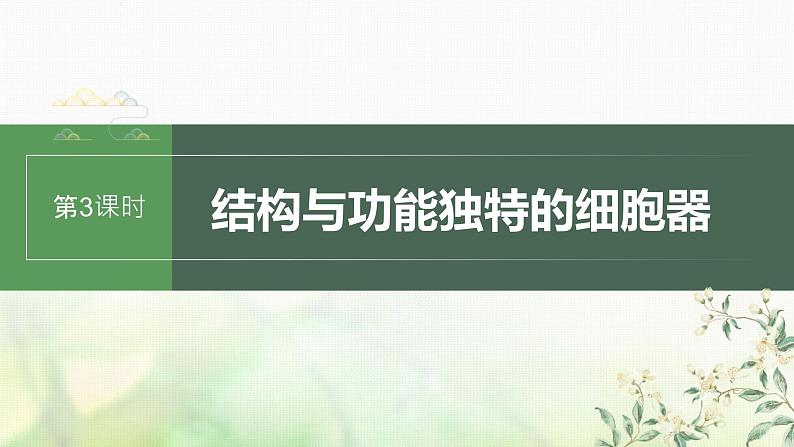 苏教版2024届高考生物一轮复习结构与功能独特的细胞器课件第1页