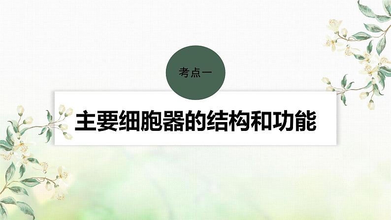 苏教版2024届高考生物一轮复习结构与功能独特的细胞器课件第4页