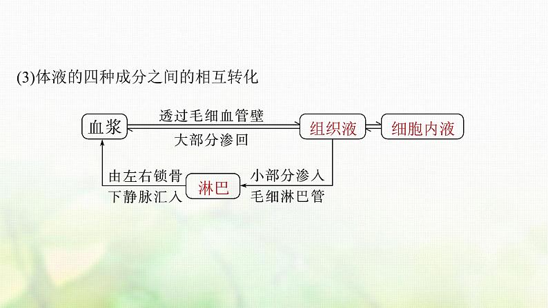 苏教版2024届高考生物一轮复习内环境的稳态课件第6页