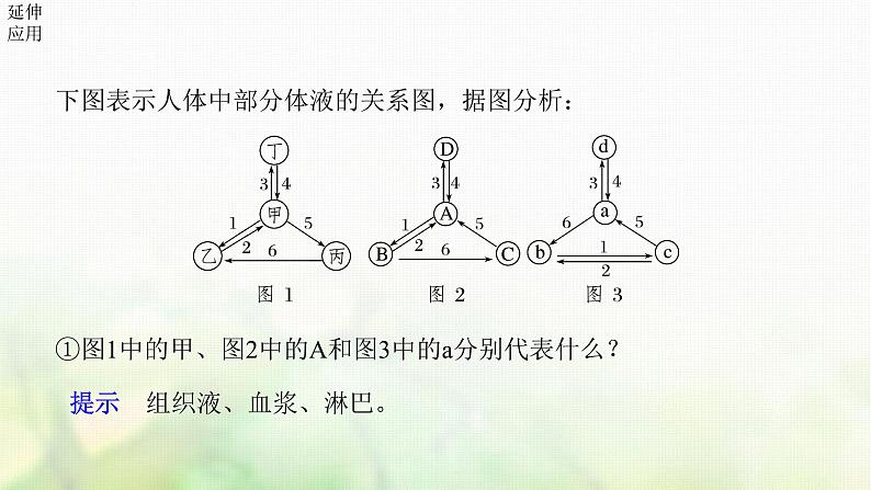 苏教版2024届高考生物一轮复习内环境的稳态课件第7页